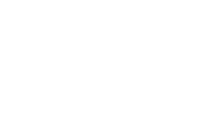 Bri Christiansen Logo_1